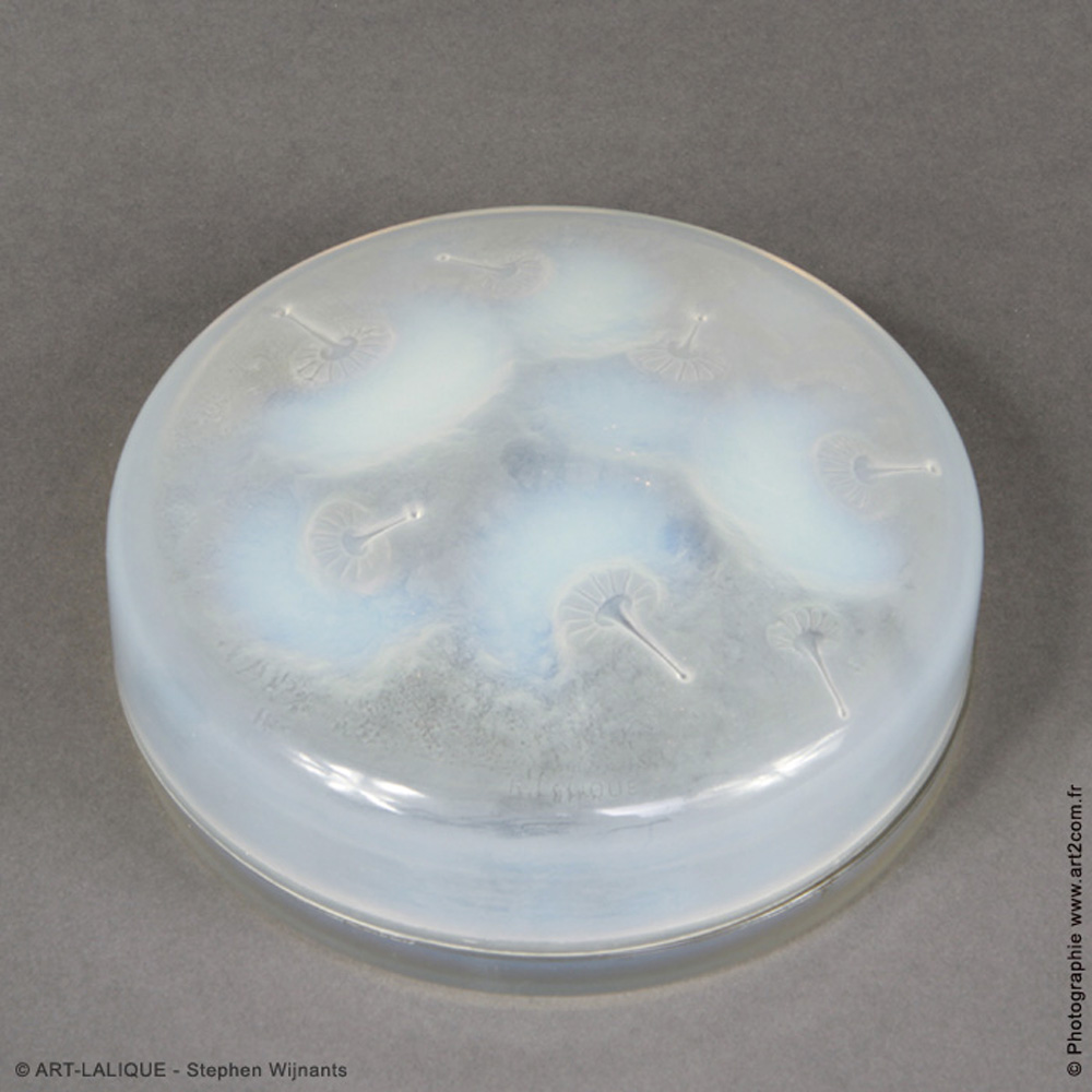 Boîte R.LALIQUE 1921